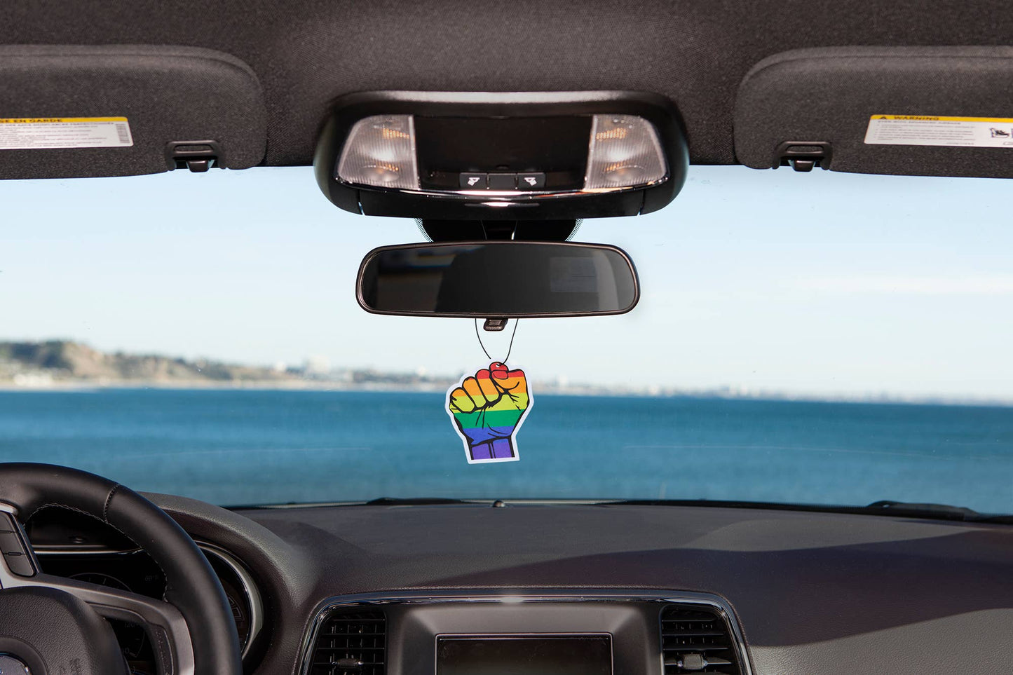 Pride Power Air Freshener Pack of 12